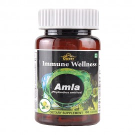 Cipzer Amla 30 Capsules