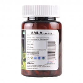 Cipzer Amla 30 Capsules