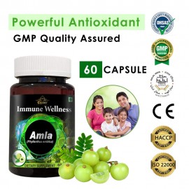 Cipzer Amla 30 Capsules